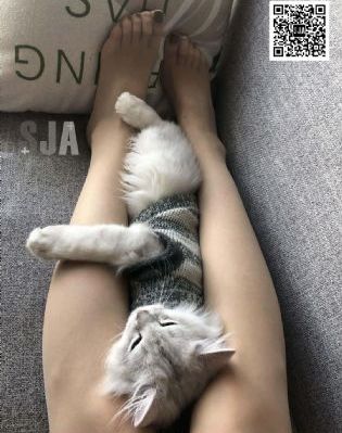 s色视频在线观看_高清在线播放观看